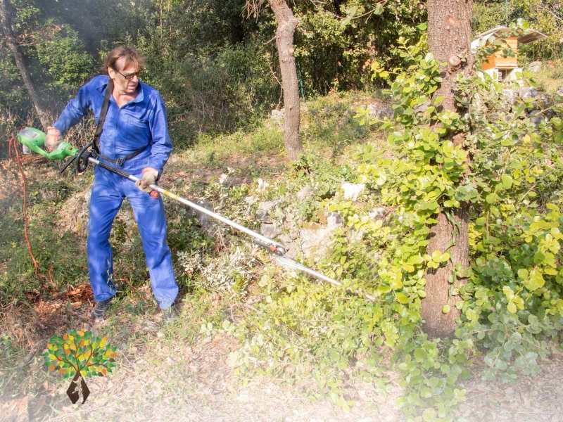 Débroussaillage intensif : libérez votre jardin des mauvaises herbes
