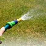 Arrosage Intelligent en Canicule à Tignieu-Jameyzieu