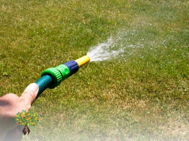 Arrosage Intelligent en Canicule à Tignieu-Jameyzieu